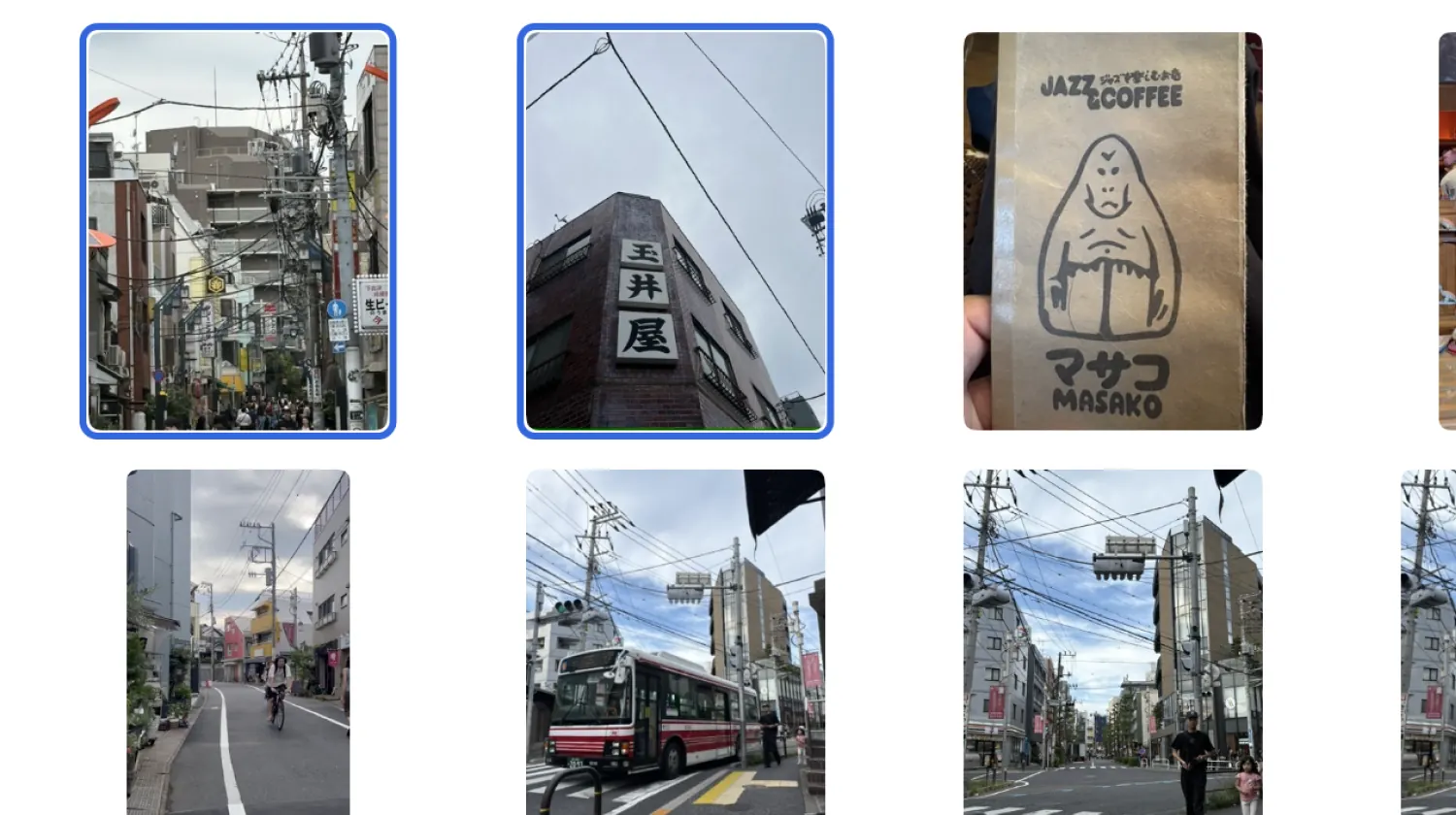 Selected photos in Apple Photos