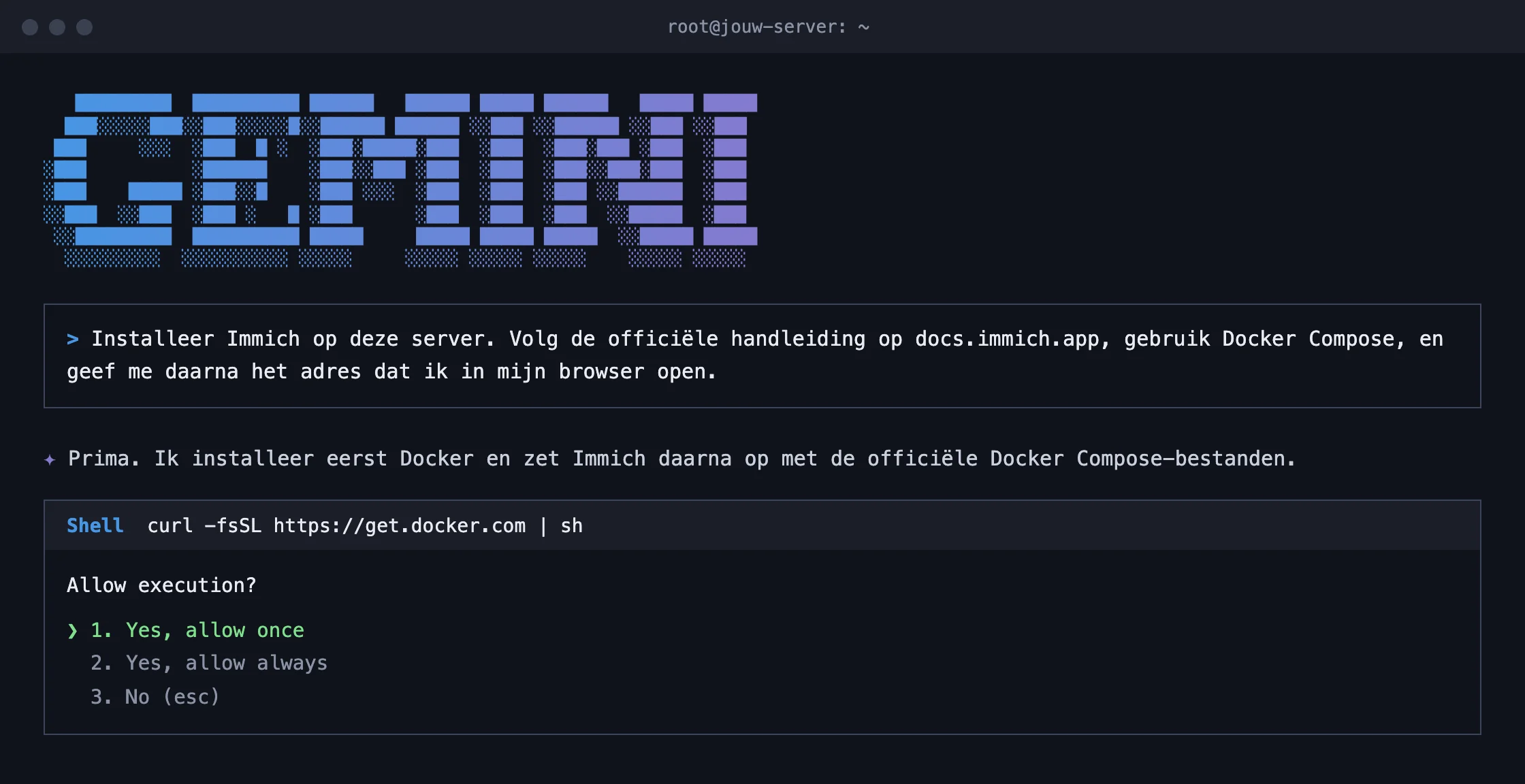 Gemini CLI op de server: jij zegt wat je wilt, hij vraagt toestemming voor elk commando