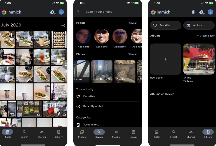 The Immich app on your phone: timeline, search and albums